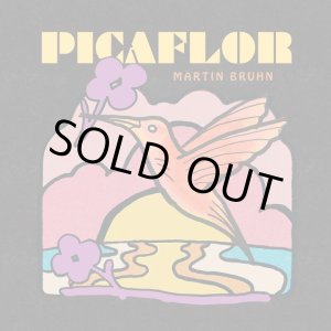 画像: MARTIN BRUHN / PICAFLOR (LP)