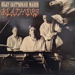 画像: RILEY - CASTONARI - MARSH / FEATHERS (LP)♪