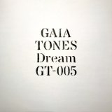 画像: GAIA TONES / DREAM (12")♪