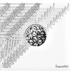 画像: DITONGO / CALYPSO (12")♪