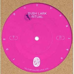 画像: THE SOUVENIRS / BUSH PARK RITUAL (7")♪