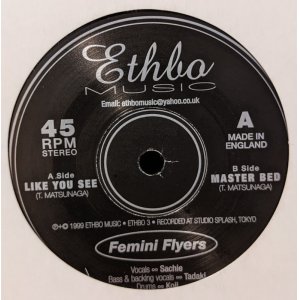 画像: FEMINI FRYERS / LIKE YOU SEE (7")♪