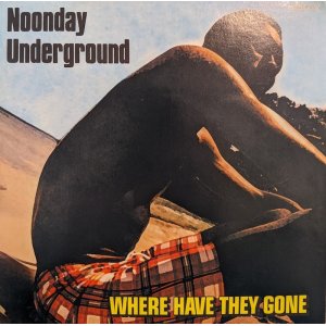 画像: NOONDAY UNDERGROUND / WHERE HAVE THEY GONE (7")♪