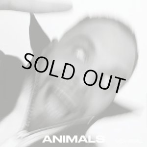 画像: KASSA OVERALL / ANIMALS (LP：Re-Entry)♪