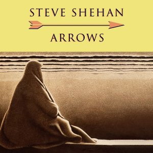 画像: STEVE SHEHAN / ARROWS (LP)♪