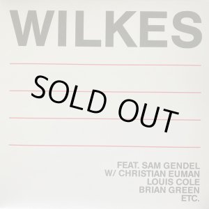 画像: SAM WILKES / WILKES (LP : Re-Entry)♪