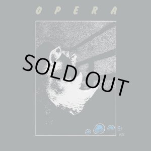 画像: NENAD JELIC、LAZA RISTOVSKI / OPERA (LP)♪