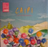 画像: KURT ROSENWINKEL / CAIPI (LP)♪