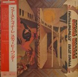 画像: スティーヴィー・ワンダー（Stevie Wonder）/  ファースト・フィナーレ (LP)♪