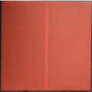 画像: GENESIS OWUSU / STRUGGLER (LP)♪