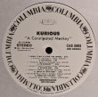 画像2: KURIOUS / A CONSPIRATED MONKEY (LP)♪