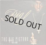 画像: BIG L / THE BIG PICTURE 1974-1999 (LP)