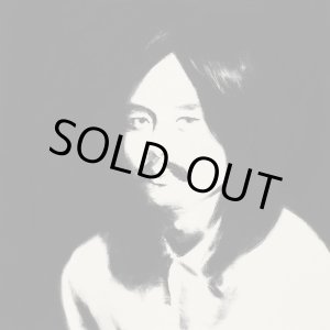 画像: 細野晴臣（V.A.）/ HOSONO HOUSE REVISITED (LP：Re-Entry)♪