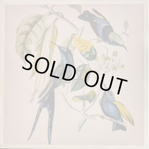 画像: SUSUMU YOKOTA / SAKURA (LP)♪