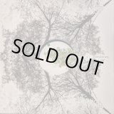 画像: MICHEL CLEIS & SALVATORE FREDA / UVA FRAGOLINA (12")♪