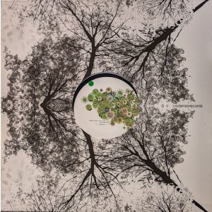 画像: MICHEL CLEIS & SALVATORE FREDA / UVA FRAGOLINA (12")♪