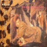 画像: デッド・オア・アライヴ（Dead Or Alive）/ 美醜の館 (LP)♪
