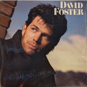 画像: DAVID FOSTER / S.T. (LP)♪