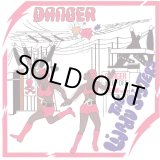 画像: THE LIJADU SISTERS / DANGER (LP)♪