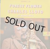 画像: CHARLES LLOYD / FOREST FLOWER (LP)