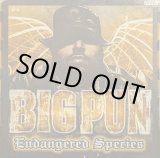 画像: BIG PUN / ENDANGERED SPECIES (LP)