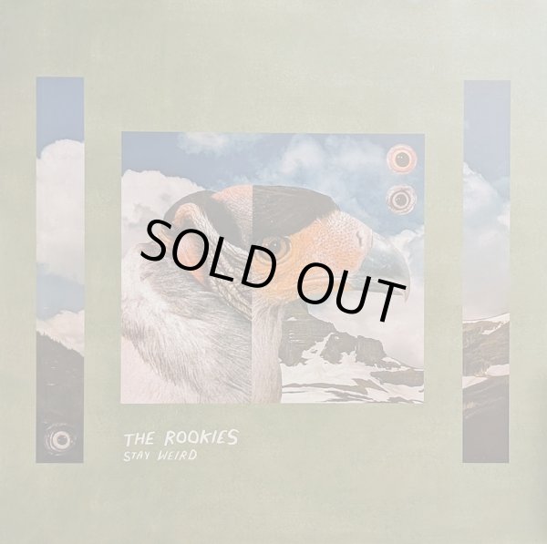画像1: THE ROOKIES / STAY WEIRD (LP)♪
