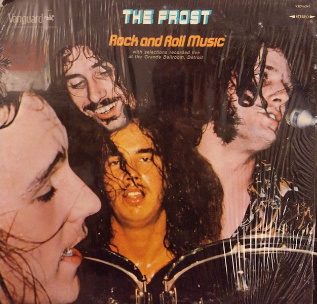 画像1: THE FROST / ROCK AND ROLL MUSIC (LP)♪