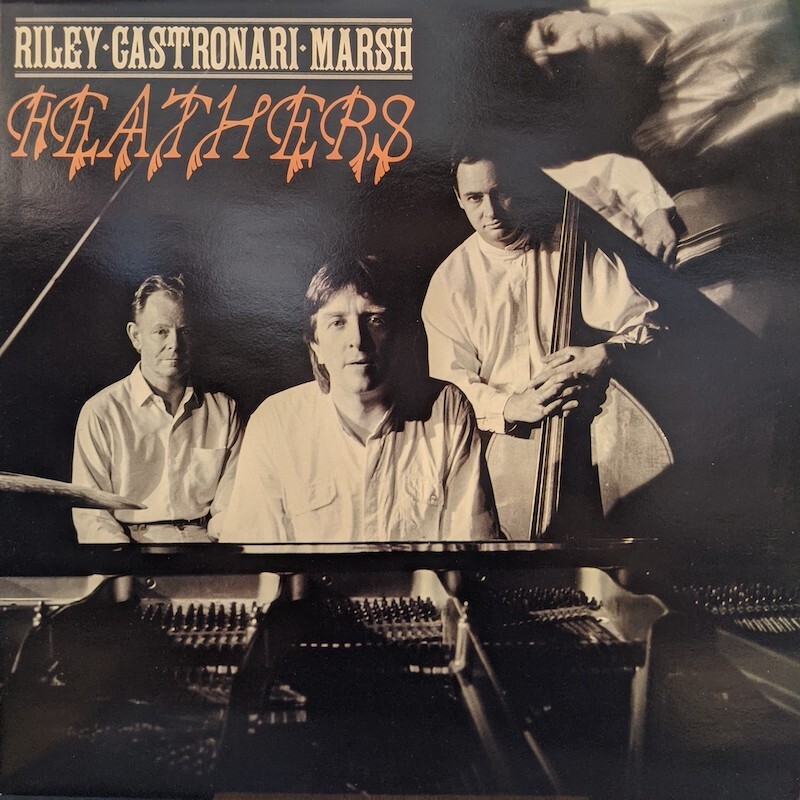画像1: RILEY - CASTONARI - MARSH / FEATHERS (LP)♪