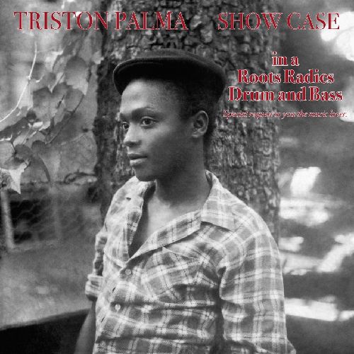画像1: TRISTON PALMER / SHOW CASE (LP)♪