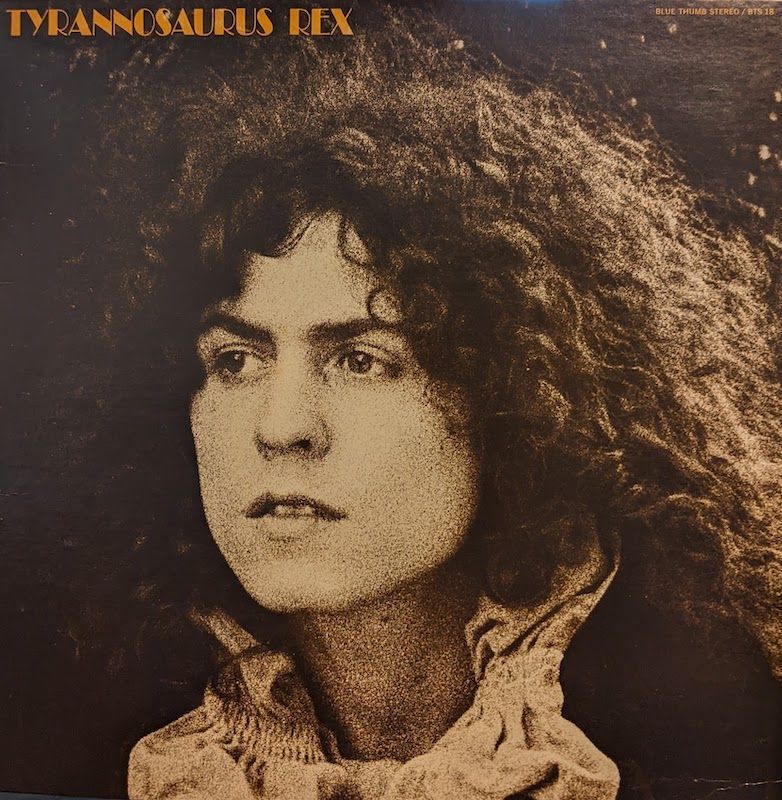 画像1: TYRANNOSAURUS REX / THE BEARD OF STARS (LP)♪