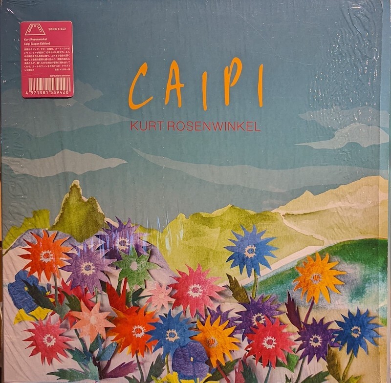 KURT ROSENWINKEL / CAIPI (LP)♪ - everyday records