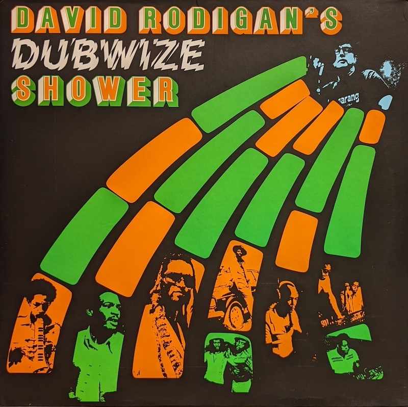 画像1: V.A. / DAVID RODIGAN’S DUBWISE SHOWER (LP)♪