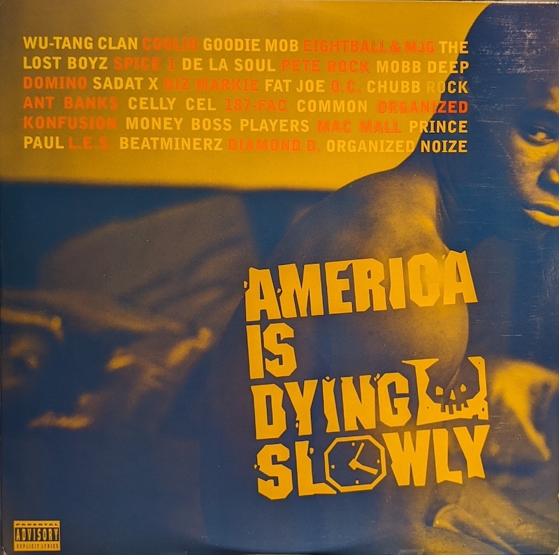 画像1: V.A. / AMERICA IS DYING SLOWLY (LP)♪