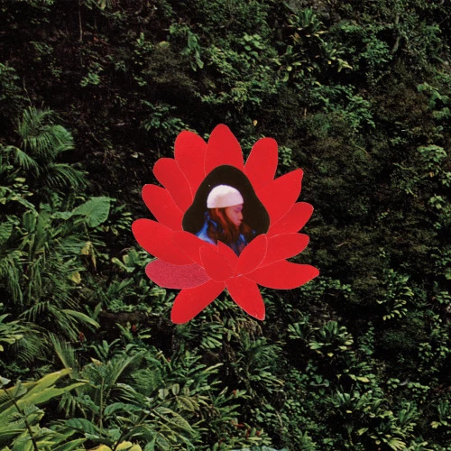 画像1: LIONMILK / WHEN THE FLOWERS BLOOM (LP)♪